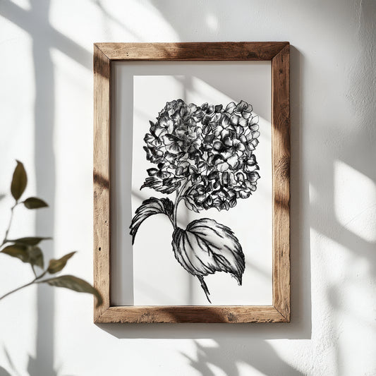 Grandma’s Garden "Hydrangea" Charcoal Print