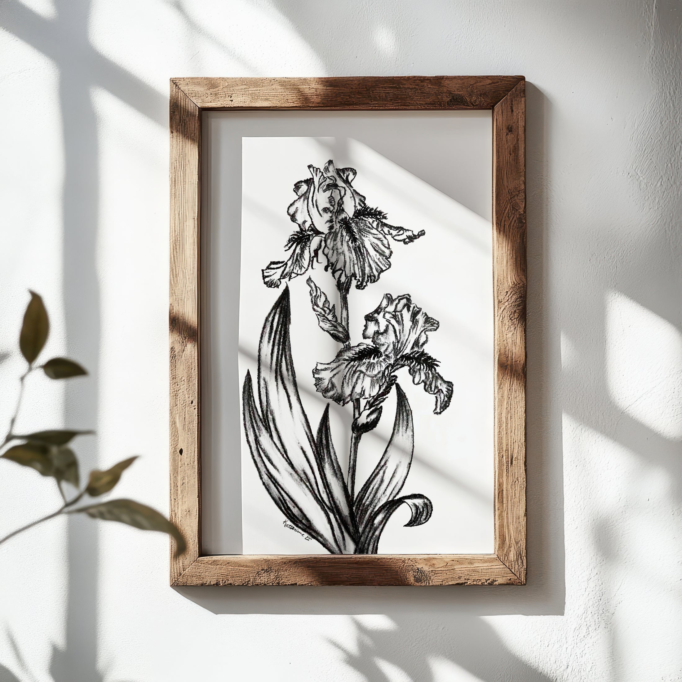A Bloom of Love "Iris" Charcoal Print