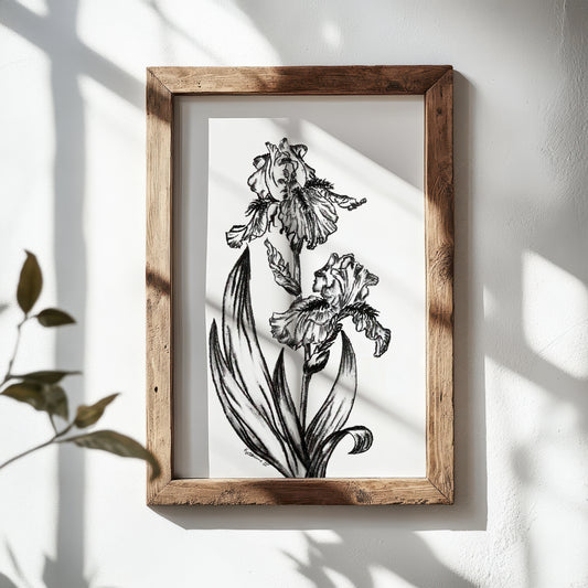 A Bloom of Love "Iris" Charcoal Print
